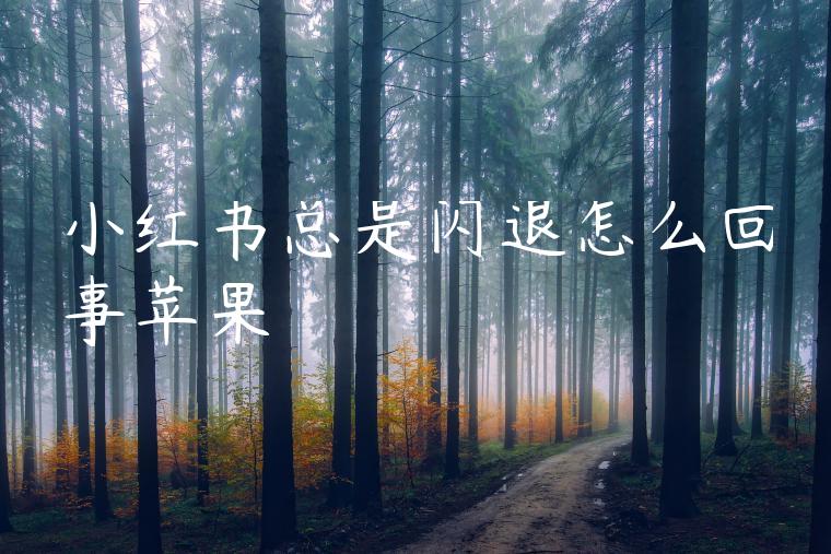 小红书总是闪退怎么回事苹果