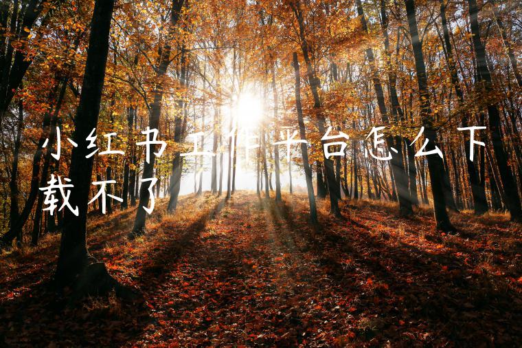 小红书工作平台怎么下载不了
