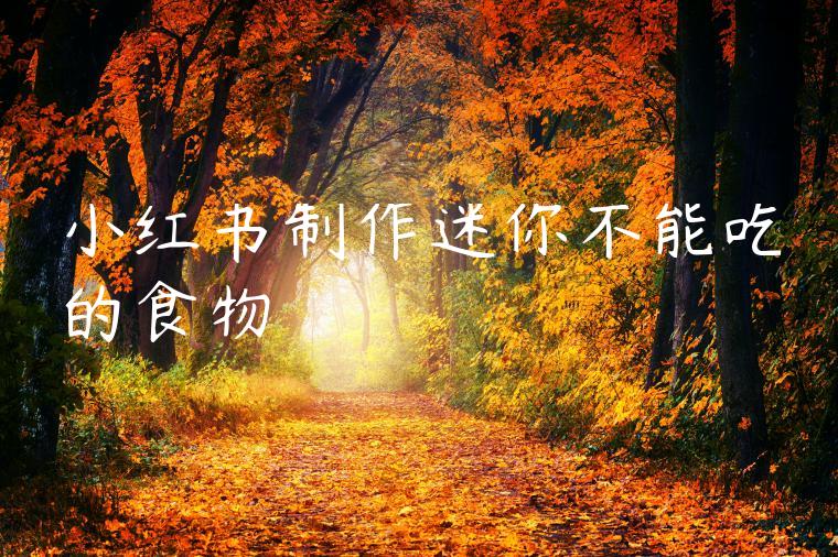 小红书制作迷你不能吃的食物 小红书制作迷你不能吃的食物