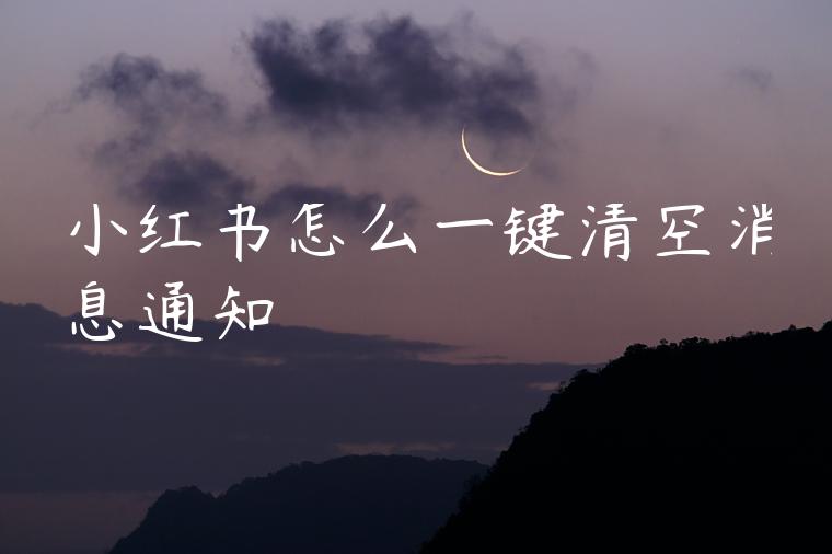 小红书怎么一键清空消息通知 小红书怎么一键清空消息通知