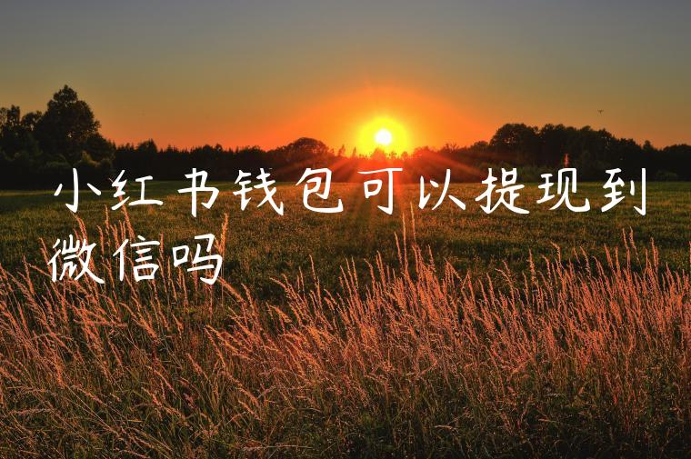 小红书钱包可以提现到微信吗 小红书钱包可以提现到微信吗