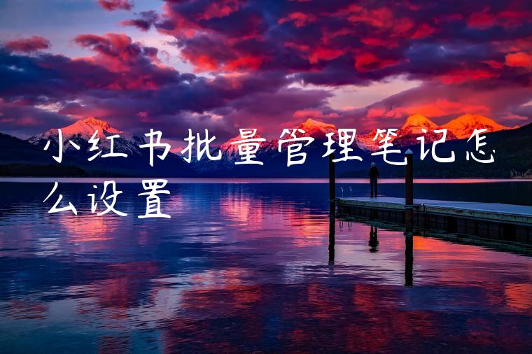小红书批量管理笔记怎么设置 小红书批量管理笔记怎么设置