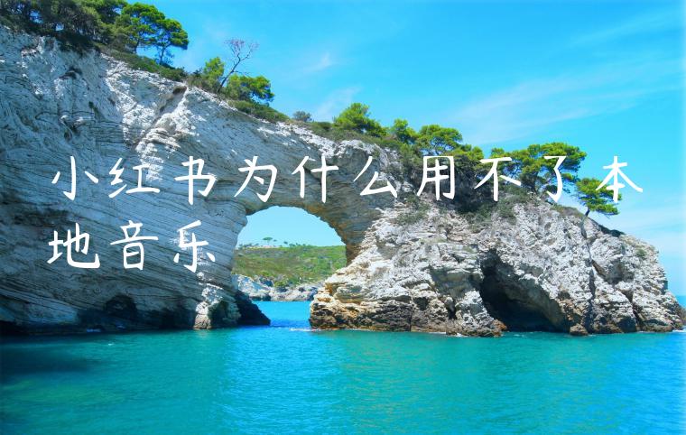 小红书为什么用不了本地音乐 小红书为什么用不了本地音乐