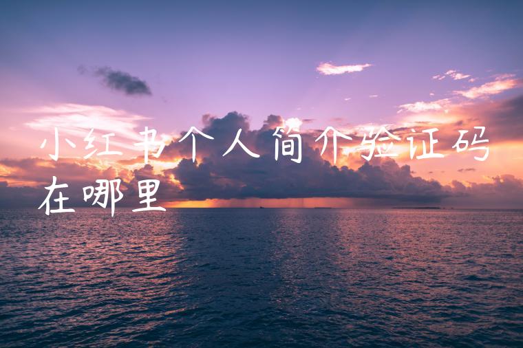 小红书个人简介验证码在哪里