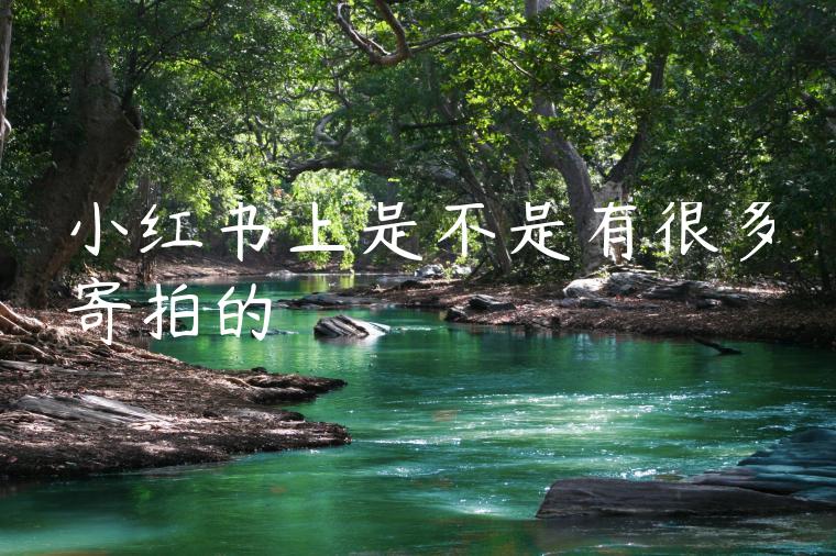 小红书上是不是有很多寄拍的