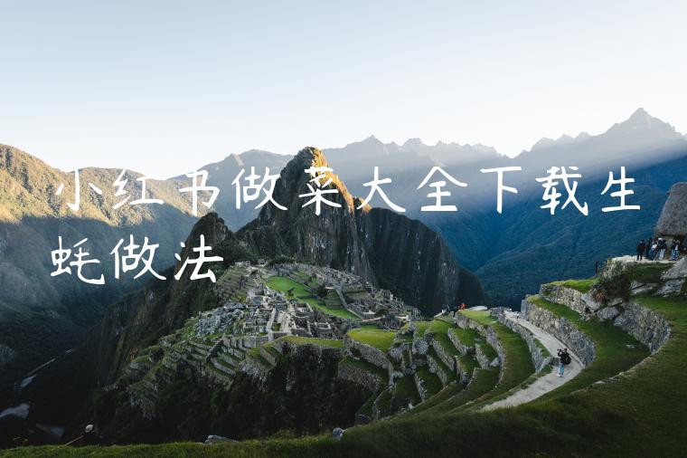 小红书做菜大全下载生蚝做法 小红书做菜大全下载生蚝做法