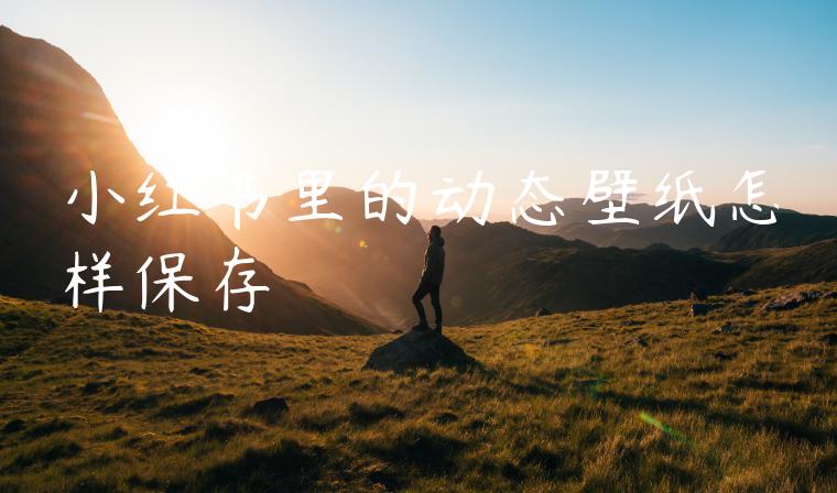 小红书里的动态壁纸怎样保存