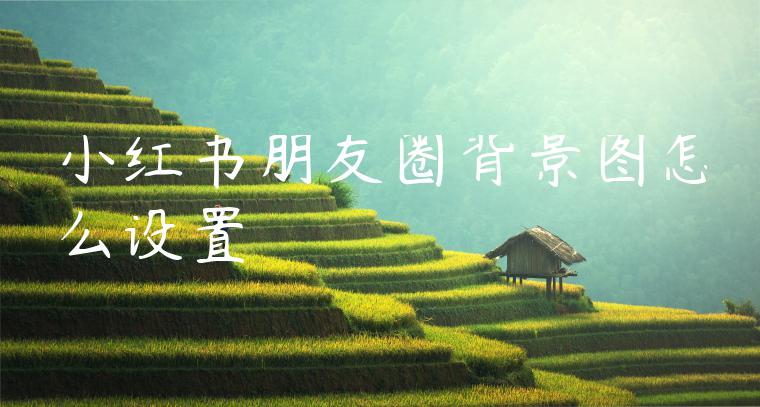 小红书朋友圈背景图怎么设置 小红书朋友圈背景图怎么设置