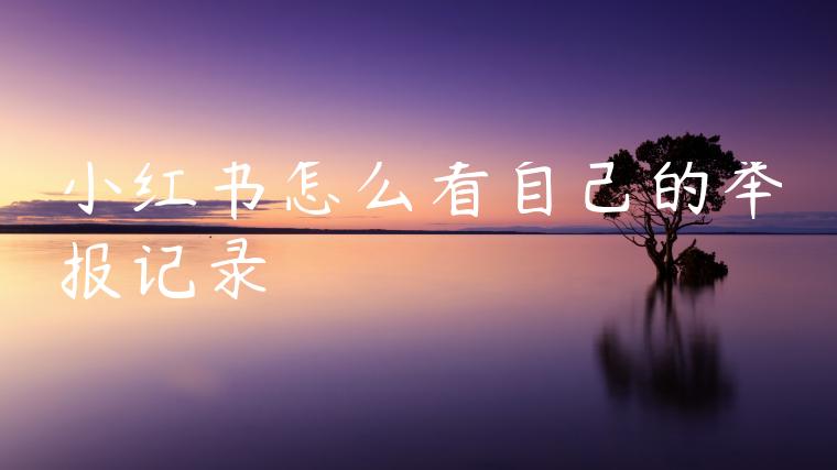 小红书怎么看自己的举报记录