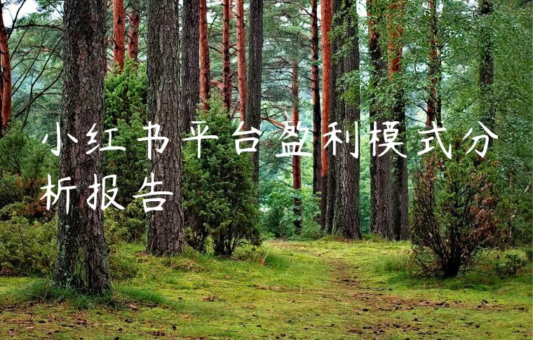 小红书平台盈利模式分析报告