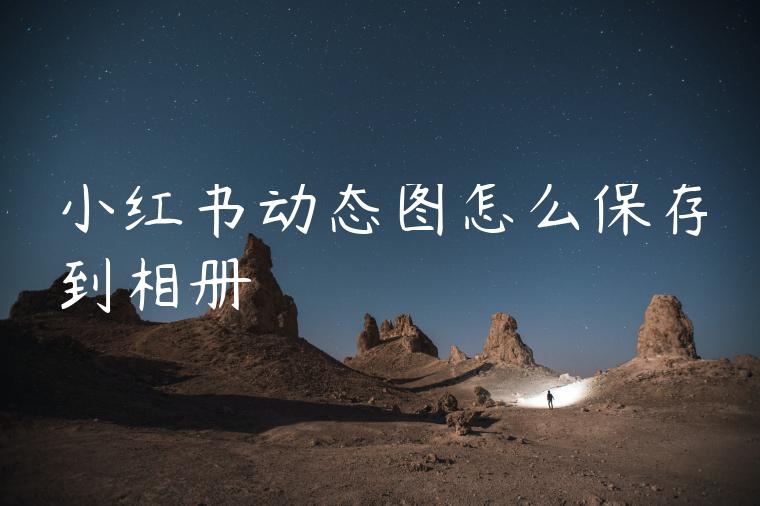 小红书动态图怎么保存到相册 小红书动态图怎么保存到相册