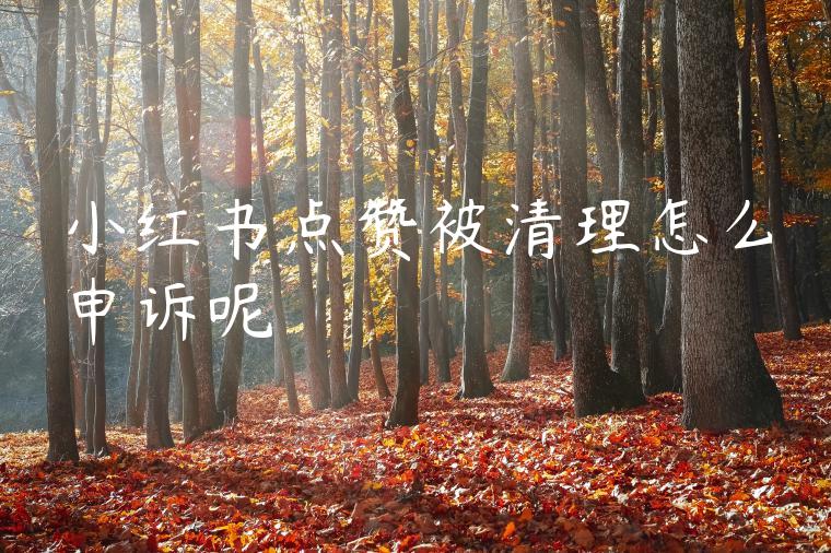 小红书点赞被清理怎么申诉呢 小红书点赞被清理怎么申诉呢