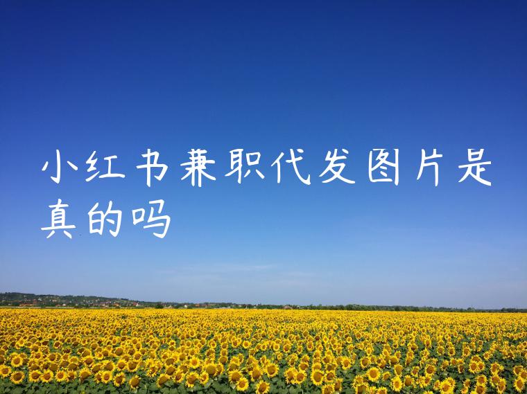小红书兼职代发图片是真的吗