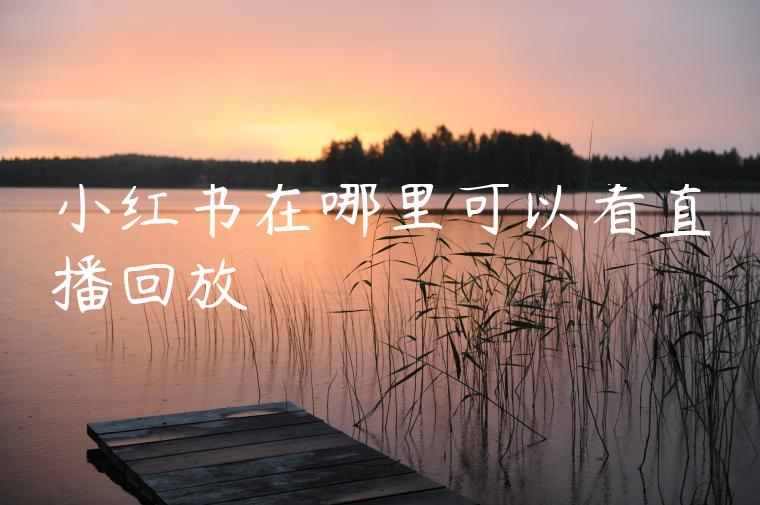 小红书在哪里可以看直播回放 小红书在哪里可以看直播回放