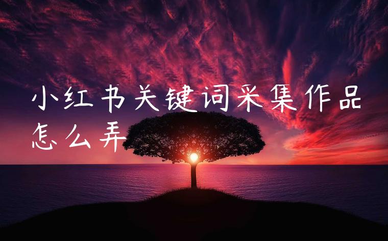 小红书关键词采集作品怎么弄 小红书关键词采集作品怎么弄