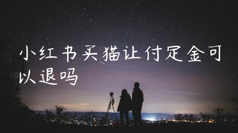 小红书买猫让付定金可以退吗