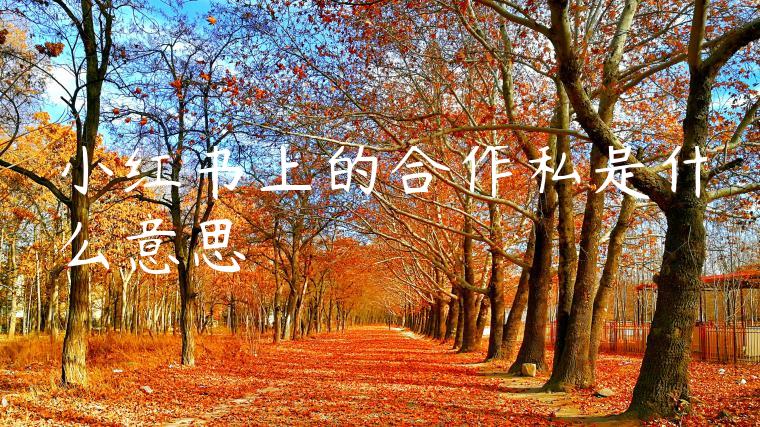 小红书上的合作私是什么意思