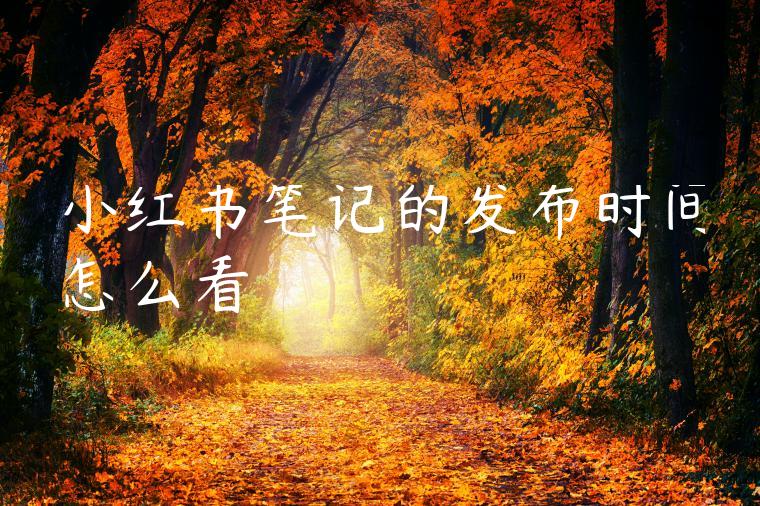 小红书笔记的发布时间怎么看 小红书笔记的发布时间怎么看