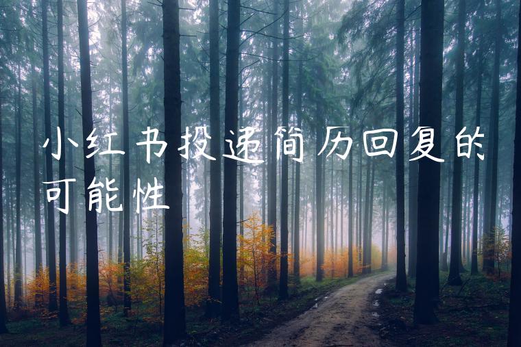 小红书投递简历回复的可能性