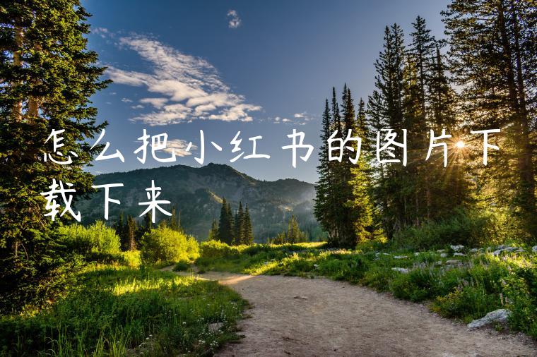 怎么把小红书的图片下载下来