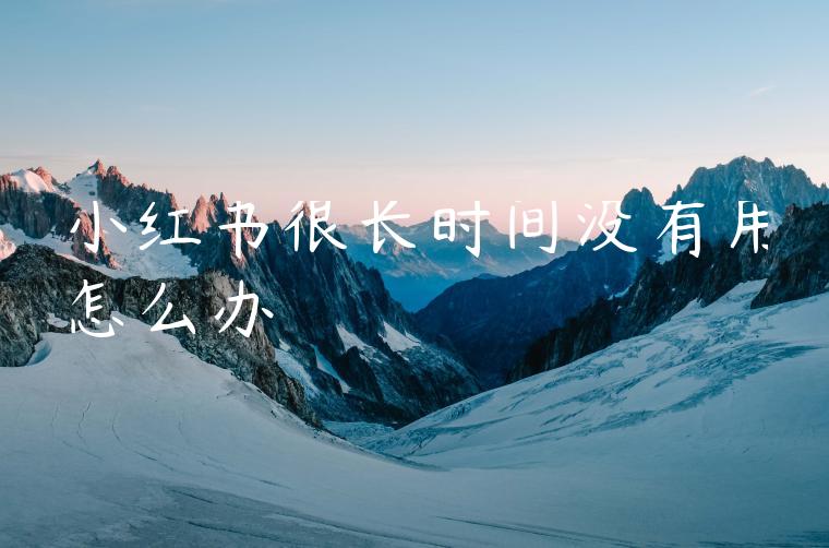 小红书很长时间没有用怎么办