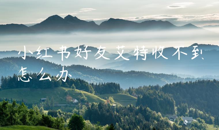 小红书好友艾特收不到怎么办