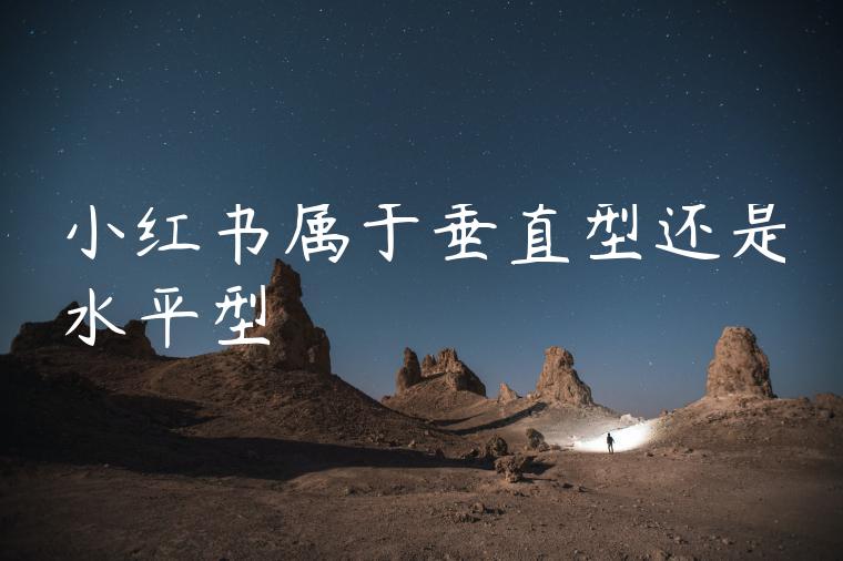 小红书属于垂直型还是水平型