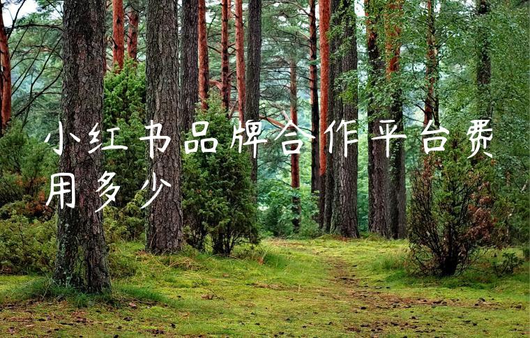 小红书品牌合作平台费用多少 小红书品牌合作平台费用多少