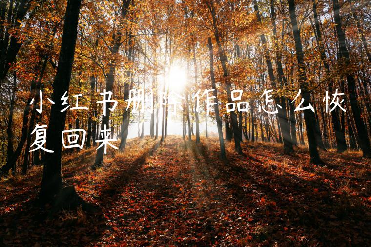 小红书删除作品怎么恢复回来 小红书删除作品怎么恢复回来