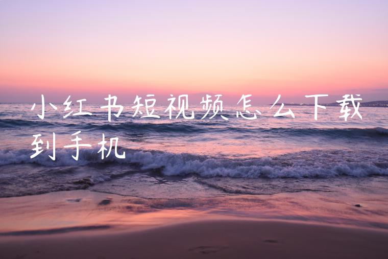 小红书短视频怎么下载到手机 小红书短视频怎么下载到手机