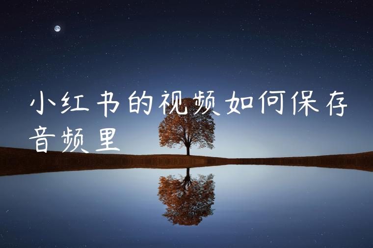 小红书的视频如何保存音频里