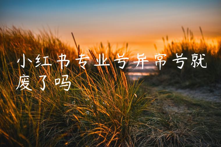 小红书专业号异常号就废了吗 小红书专业号异常号就废了吗