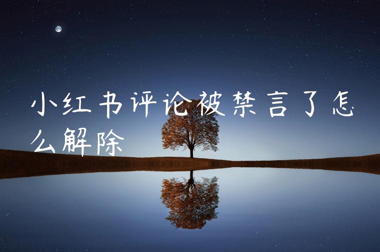 小红书评论被禁言了怎么解除 小红书评论被禁言了怎么解除