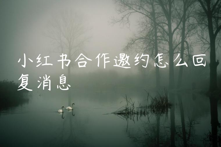 小红书合作邀约怎么回复消息