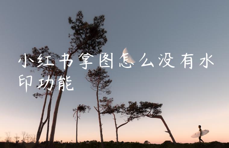 小红书拿图怎么没有水印功能 小红书拿图怎么没有水印功能