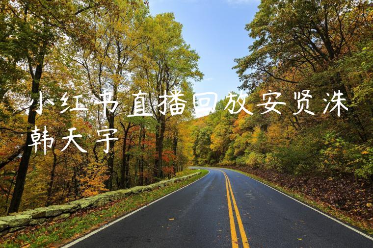 小红书直播回放安贤洙韩天宇 小红书直播回放安贤洙韩天宇