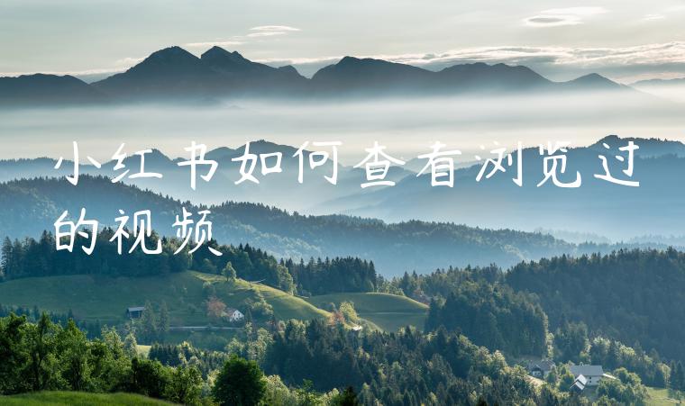 小红书如何查看浏览过的视频 小红书如何查看浏览过的视频
