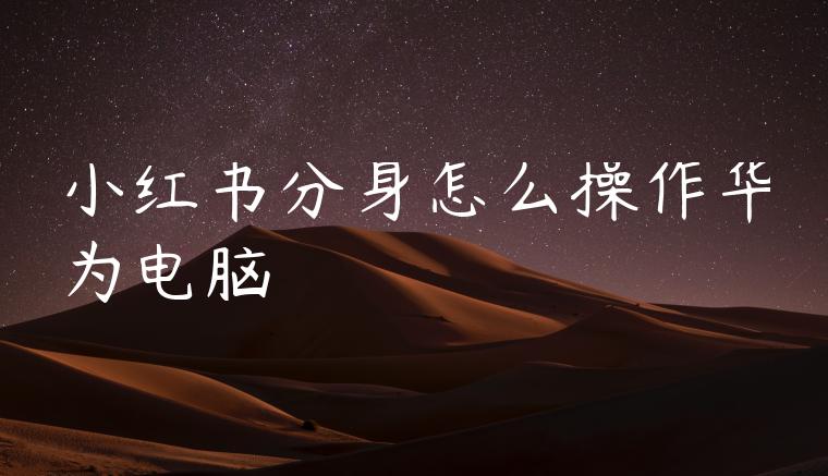 小红书分身怎么操作华为电脑