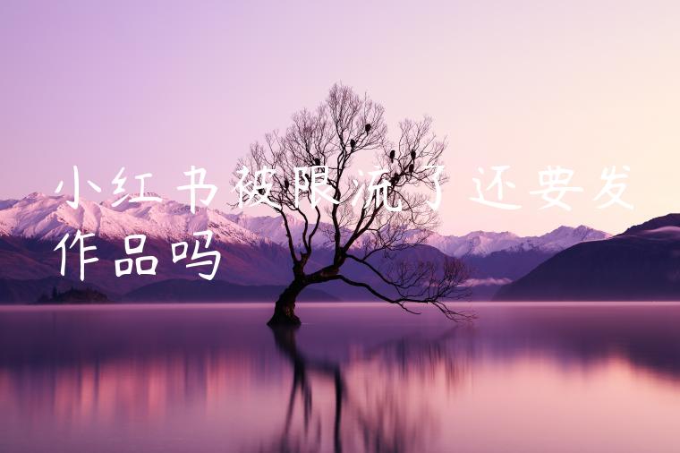 小红书被限流了还要发作品吗