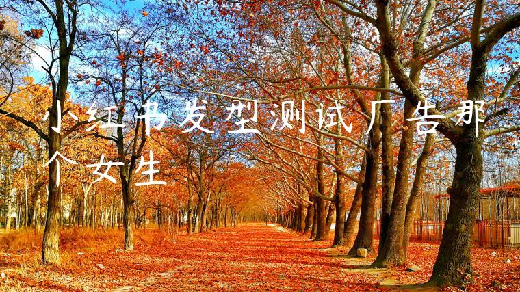 小红书发型测试广告那个女生