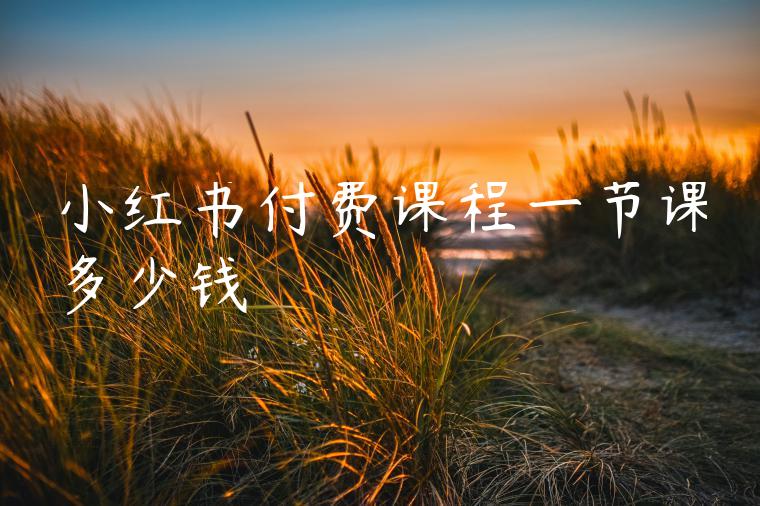 小红书付费课程一节课多少钱