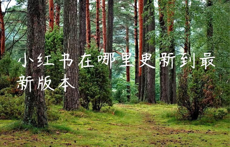 小红书在哪里更新到最新版本