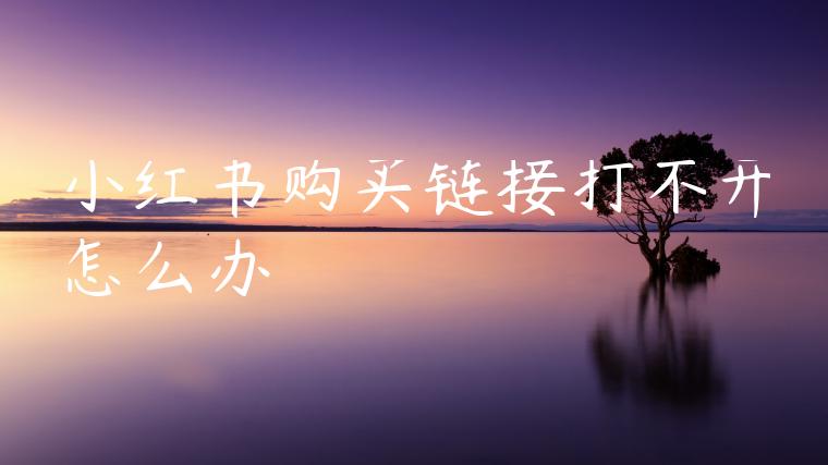 小红书购买链接打不开怎么办