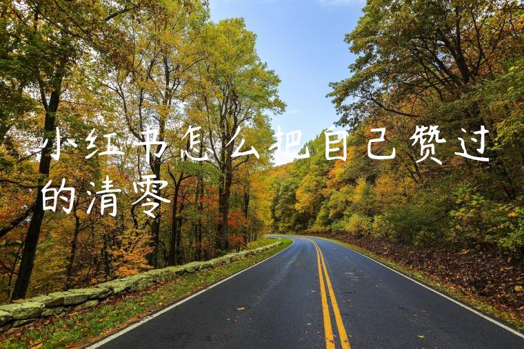 小红书怎么把自己赞过的清零