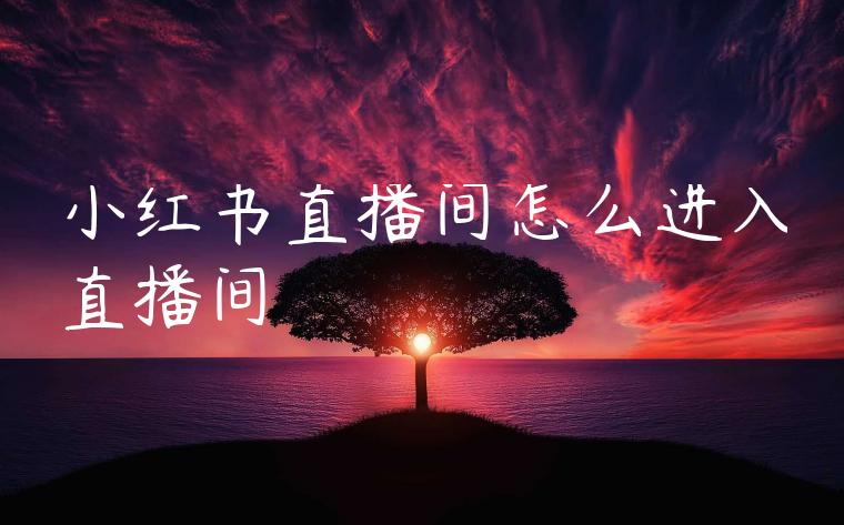 小红书直播间怎么进入直播间 小红书直播间怎么进入直播间