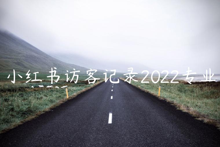 小红书访客记录2022专业