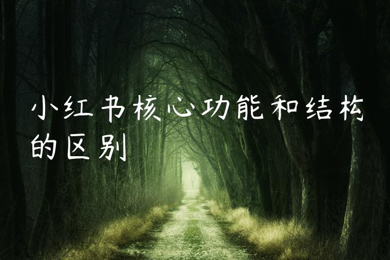 小红书核心功能和结构的区别