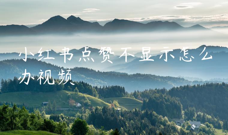 小红书点赞不显示怎么办视频