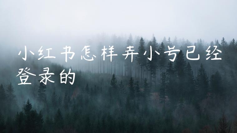 小红书怎样弄小号已经登录的 小红书怎样弄小号已经登录的