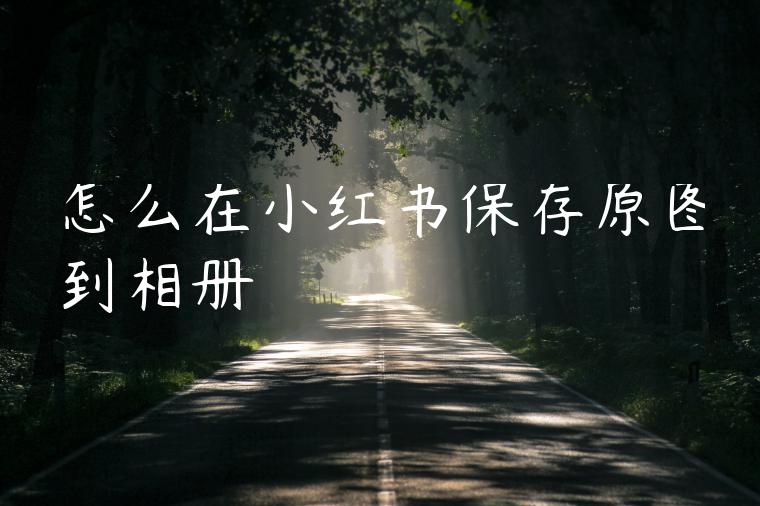 怎么在小红书保存原图到相册